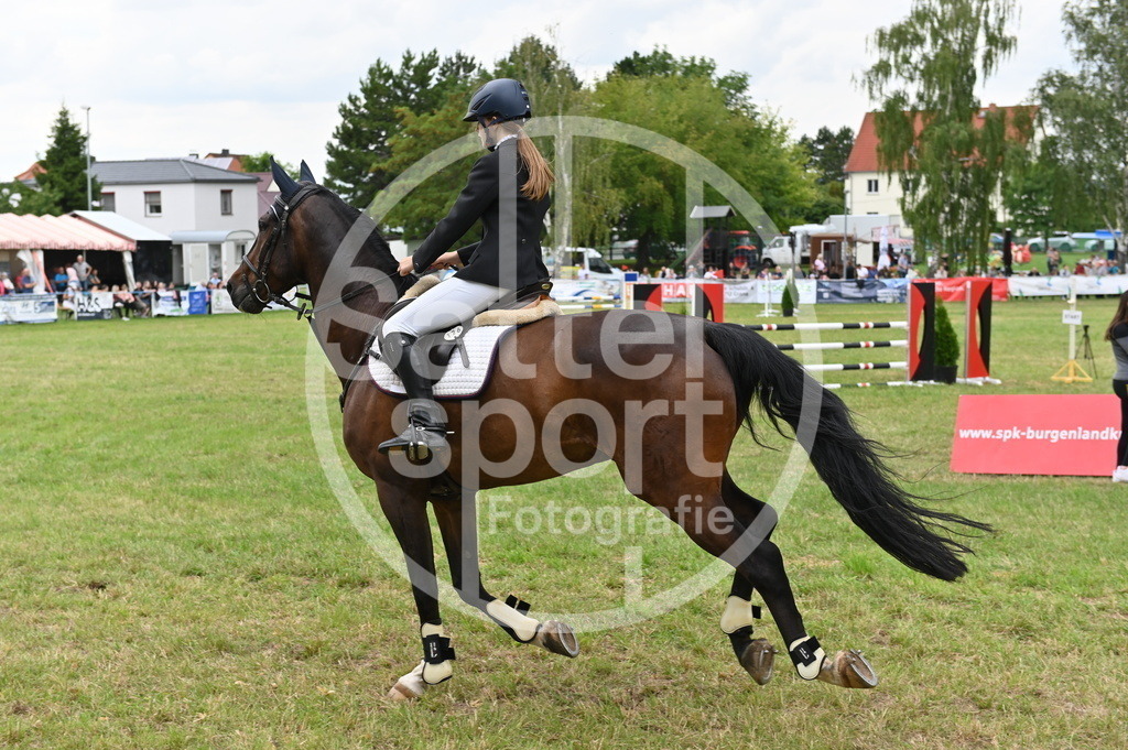 DSC_3303 | sattelsport - Realisiert mit Pictrs.com