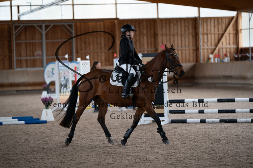 A7V02881 | Turnier/Reitfotograf