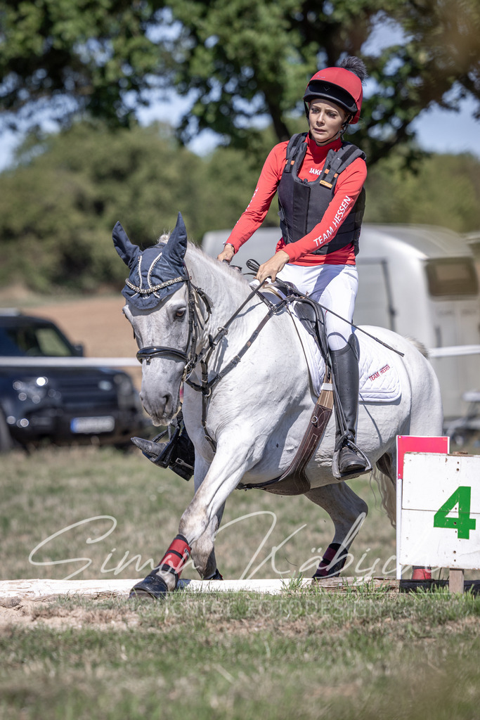 20260906-_3LI3095 | Tierfotografie Pferde, Hunde, Katzen, Haustiere.
Turnierfotografie Reitturniere, Reiten, Springreiten, Dressur in Hanau, dem Main-Kinzig-Kreis und dem Rhein-Main- Gebiet um Frankfurt