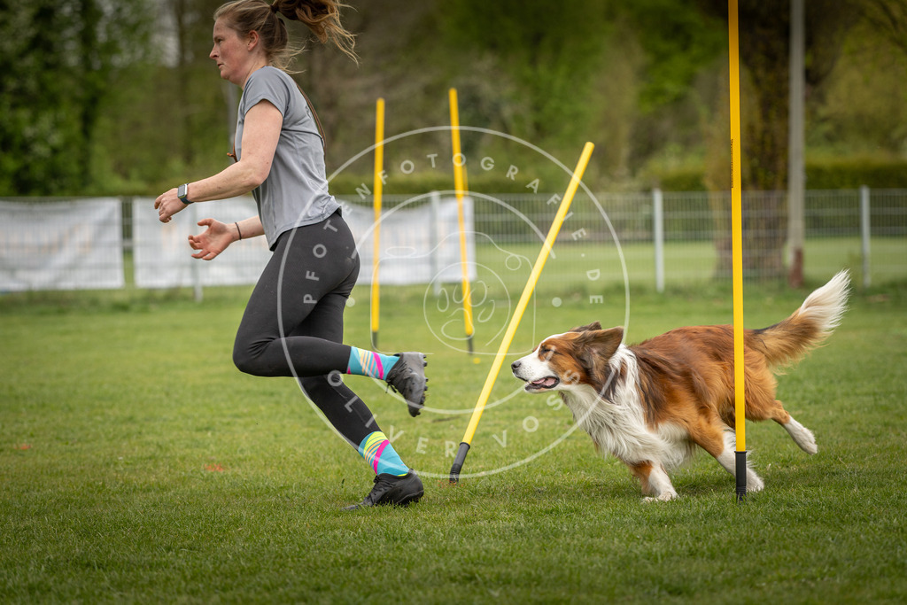 Pfotenfotografie_DV3A9492 | Hundefotografie, Tierfotograf, Pfotenfotografie, Fotoshooting Hund, Hunde Portrait, Hundesport, Hundeportraits, Heideshooting, Hunde, Sportfotograf, Hundefotograf, Turnierhundsport, THS,  - Realisiert mit Pictrs.com