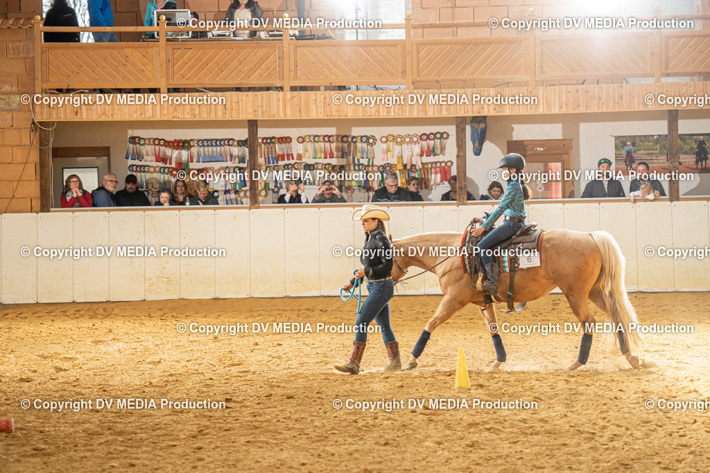 MIT01236 | dv-media-shop - Realisiert mit Pictrs.com