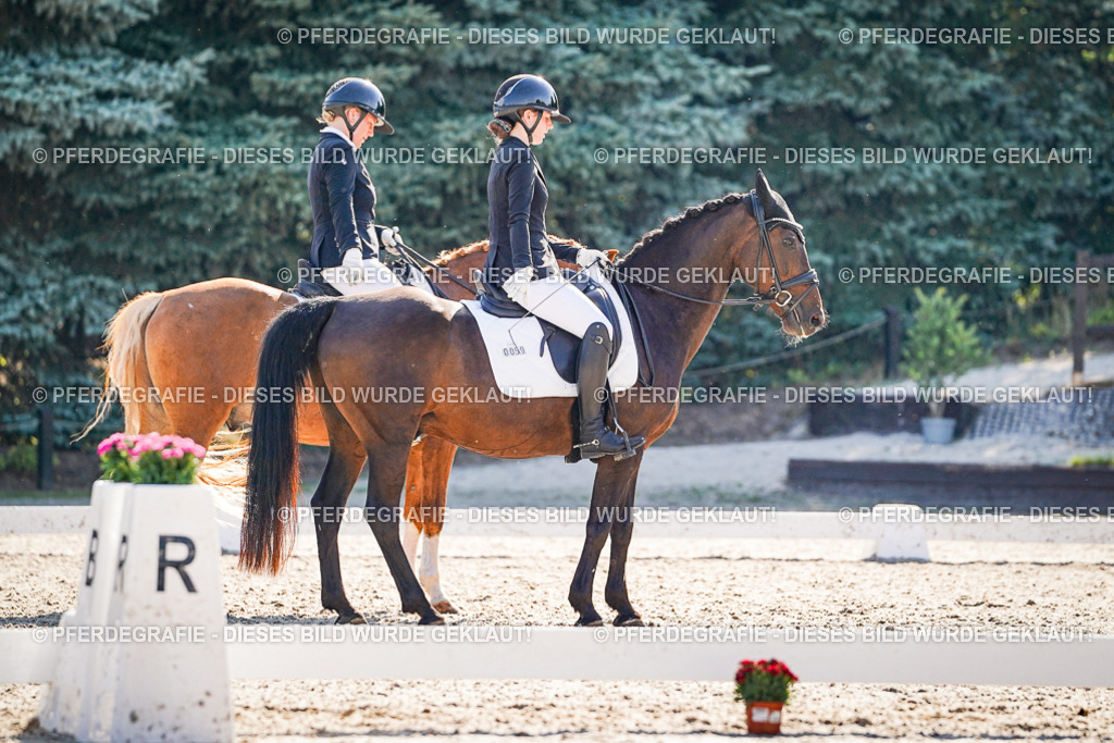 DSC00057 | Pferdegrafie