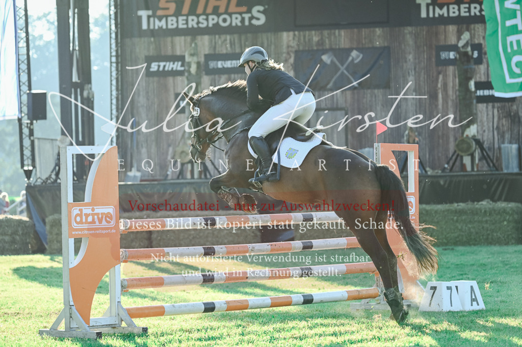 DSC_4280 | Pferde- und Turnierfotografie in Westsachsen. Pferdeportraits, Auftragszeichnungen und intuitive Kunst.