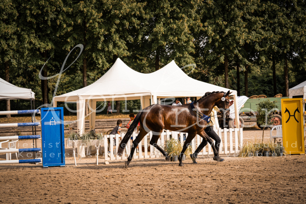 FrER00254 | Leoni Ertmer Photography - Realisiert mit Pictrs.com