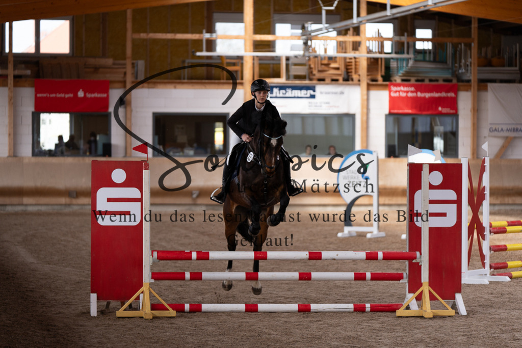 A7507369 | Pferdefotograf