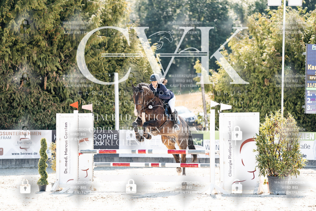 CK908677 | Turnierfotografie Pferdefotografie Trier Rheinland-Pfalz Pferdesport Reitsport Tierfotografie Sportfotografie Pferdevideo Pferdevideografie Equestrianvideography equestrianphotography  - Realisiert mit Pictrs.com