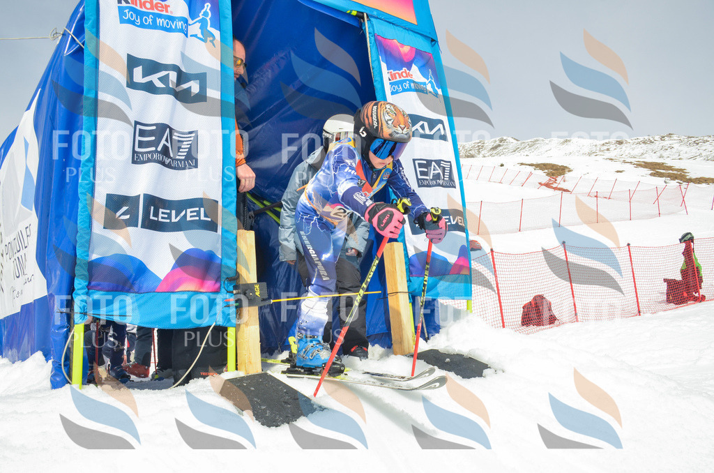 _ELE7965 | holidayphoto