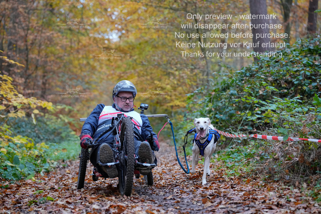 Scooter_So-54 | stephaniefillaphotographie - Realisiert mit Pictrs.com