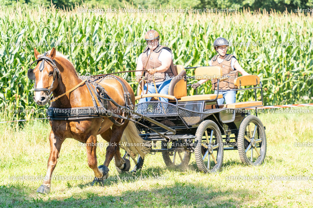 2026-08-08_14-28-56_WBO_Pulsnitz | sternberg.click - Realisiert mit Pictrs.com