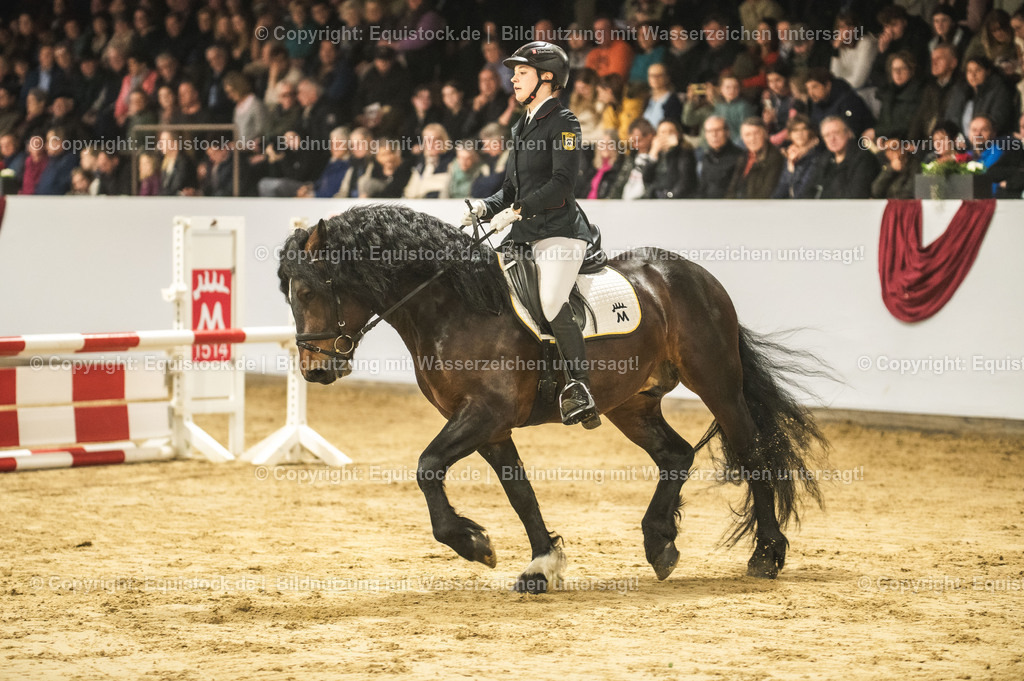 20240302_Hengstvorstellung_Marbach_TOMsPiC_0302 | equistock