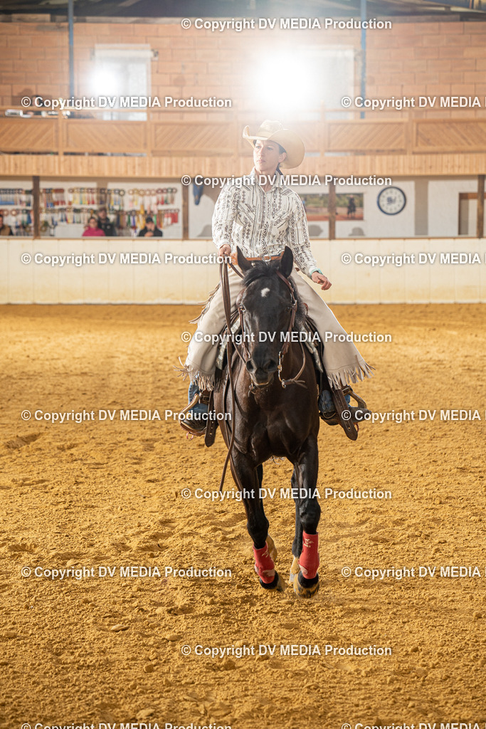 MIT00698 | dv-media-shop - Realisiert mit Pictrs.com