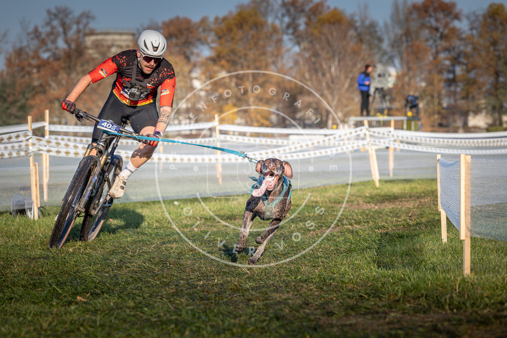 CaniXpix_0L8A4012 | Hundefotografie, Tierfotograf, Pfotenfotografie, Fotoshooting Hund, Hunde Portrait, Hundesport, Hundeportraits, Heideshooting, Hunde, Sportfotograf, Hundefotograf, Turnierhundsport, THS,  - Realisiert mit Pictrs.com