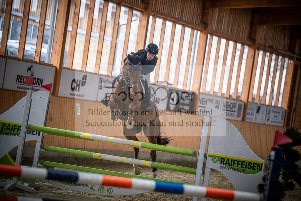DOS_1115 | Entdecke hochwertige Reitturnierfotos von Foto Oger. Professionell, emotional und authentisch – jetzt Lieblingsmomente im Shop bestellen.Deutschlandweite Turnierfotografie. - Realisiert mit Pictrs.com