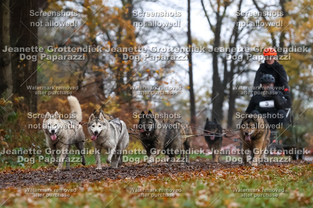 Dog Paparazzi - Ströhen 25-6 | Dog Paparazzi Jeanette Grottendiek Fotografie & Videografie