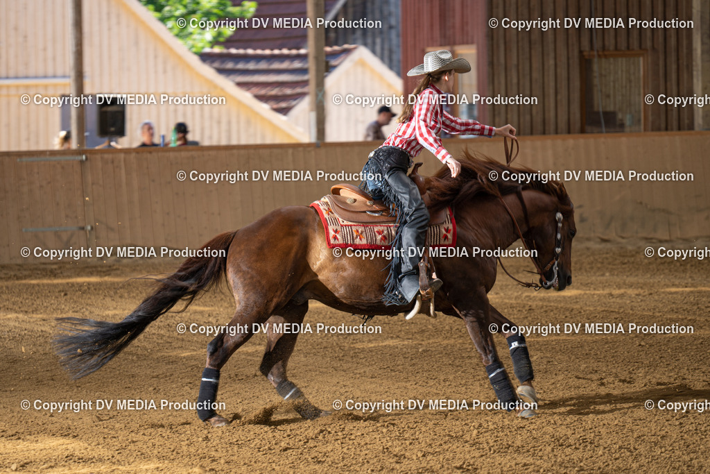 DSC00106 | dv-media-shop - Realisiert mit Pictrs.com