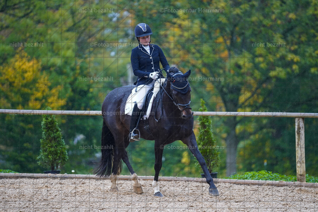 20221008-FAH02134 | Diessen am Ammersee, 2022, Dressur- und Springturnier, Reitsportbilder, Turnierfotografen Bayern, Pferdefotografen, Fotoagentur Herrmann, Turnierbilder