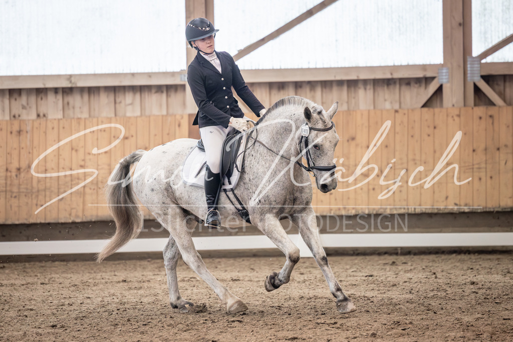 20251011-_3LI0651 | Tierfotografie Pferde, Hunde, Katzen, Haustiere.
Turnierfotografie Reitturniere, Reiten, Springreiten, Dressur in Hanau, dem Main-Kinzig-Kreis und dem Rhein-Main- Gebiet um Frankfurt