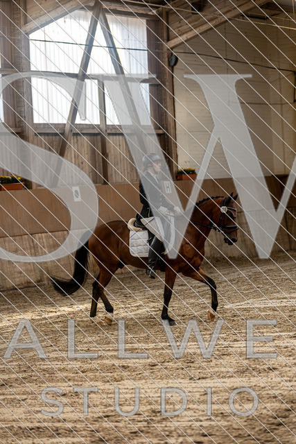 2L2A0470 | stallwerkstudio - Realisiert mit Pictrs.com