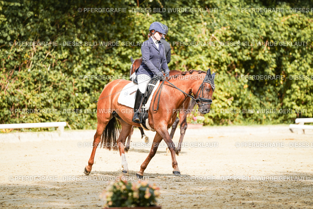 DSC02286 | Pferdegrafie