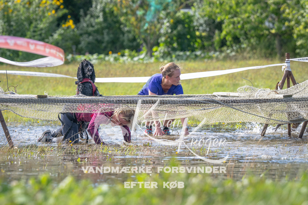 1148_ZZ91702 | kk-dogfotos