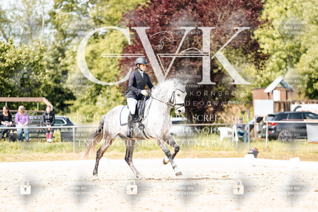 CK901615 | Turnierfotografie Pferdefotografie Trier Rheinland-Pfalz Pferdesport Reitsport Tierfotografie Sportfotografie Pferdevideo Pferdevideografie Equestrianvideography equestrianphotography  - Realisiert mit Pictrs.com