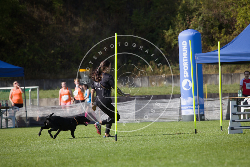 0L8A8591 | Hundefotografie, Tierfotograf, Pfotenfotografie, Fotoshooting Hund, Hunde Portrait, Hundesport, Hundeportraits, Heideshooting, Hunde, Sportfotograf, Hundefotograf, Turnierhundsport, THS,  - Realisiert mit Pictrs.com