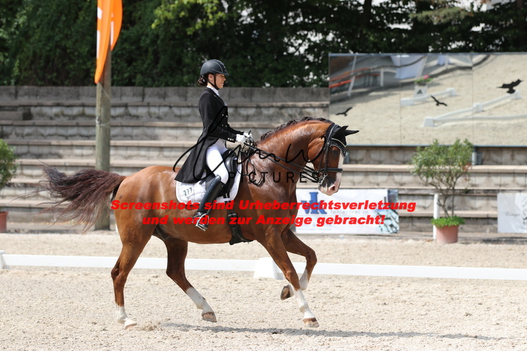 IMG_7075 | lmwpictures - Realisiert mit Pictrs.com