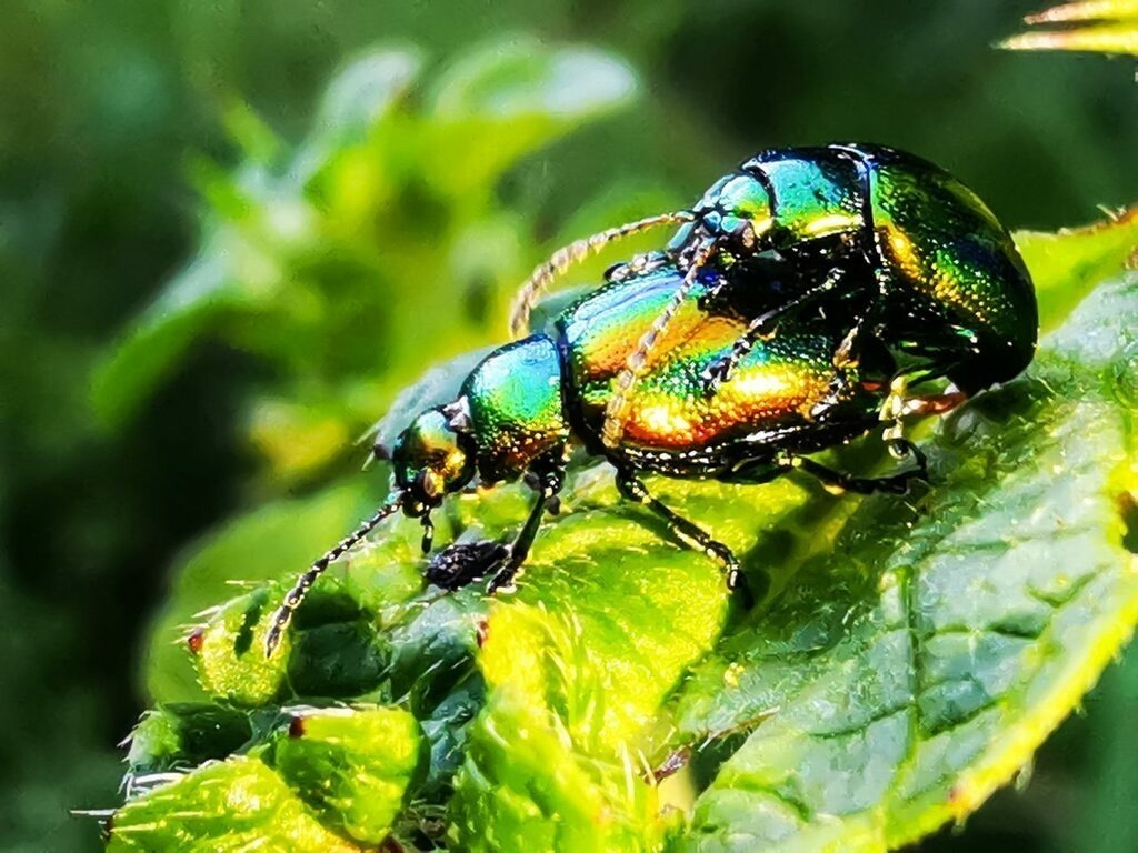 PSX_20220803_235253 | mtkfoto_ - Realisiert mit Pictrs.com