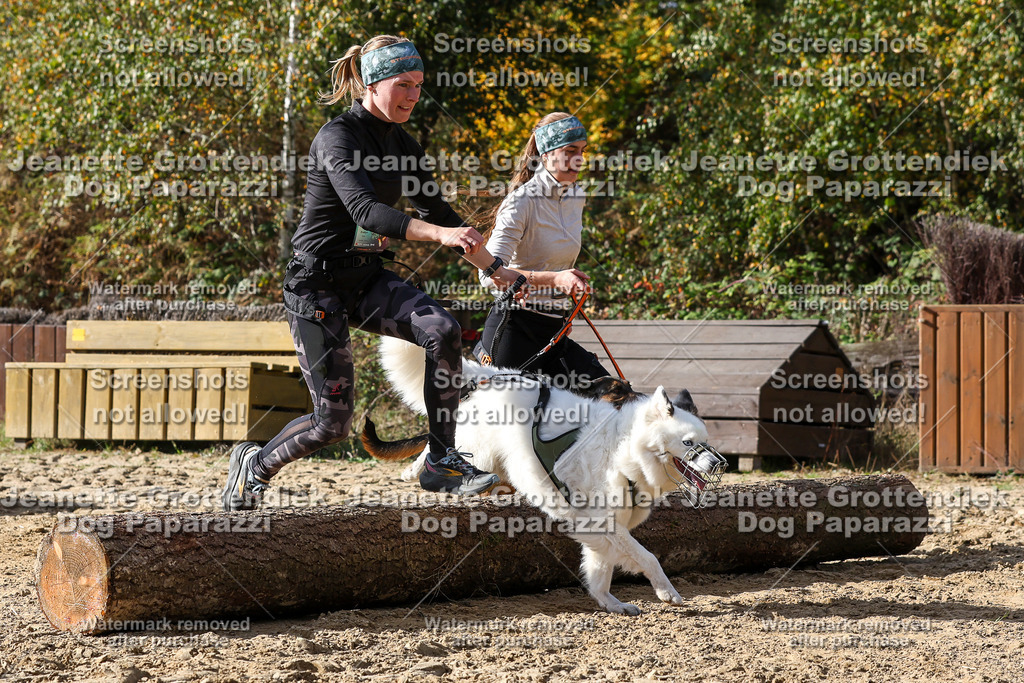 Dog Paparazzi - Strongdog 10-25-5673 | Dog Paparazzi Jeanette Grottendiek Fotografie & Videografie - Realisiert mit Pictrs.com