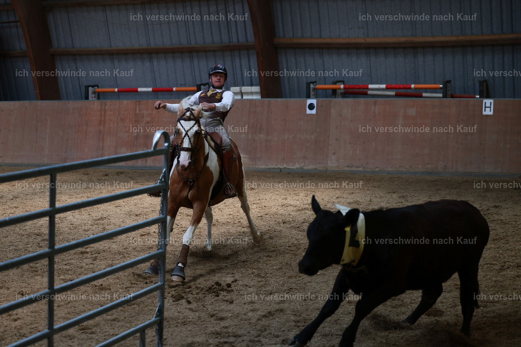 Masterclass_stoibphotography_C2_L7605.JPG | working equitationturnier fotograf videograf stoibphotography marixx film working equitation deutschland reitsport turnierfotografie eventfotografie equestrian events
