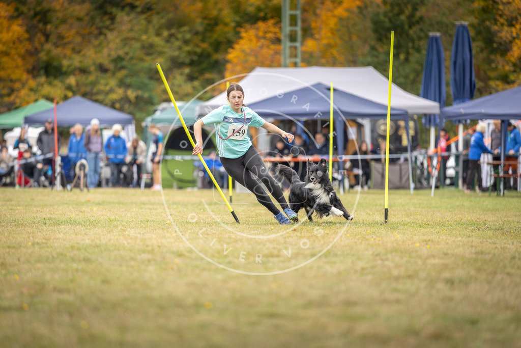 Pfotenfotografie_DV3A5089 | Hundefotografie, Tierfotograf, Pfotenfotografie, Fotoshooting Hund, Hunde Portrait, Hundesport, Hundeportraits, Heideshooting, Hunde, Sportfotograf, Hundefotograf, Turnierhundsport, THS,  - Realisiert mit Pictrs.com