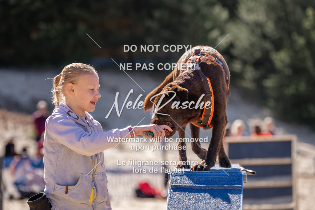 NR__0729 | nelerasche