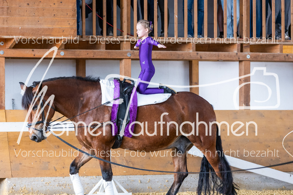 SS-Mini-237 | MomenTaufnahmen Pferdesportfotos