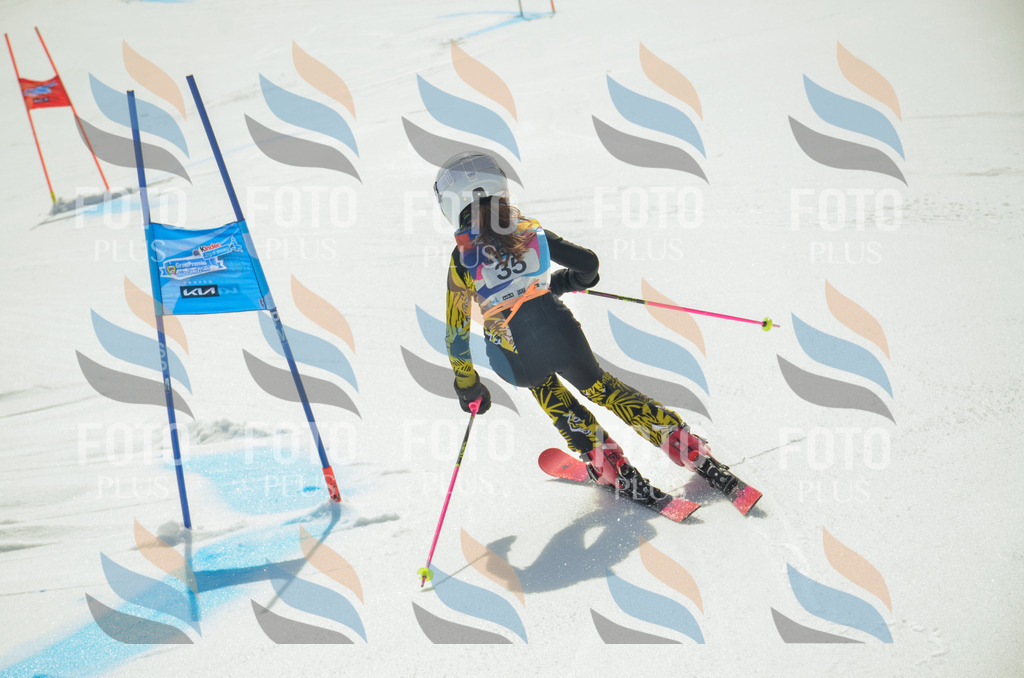 _ELE4956 | holidayphoto