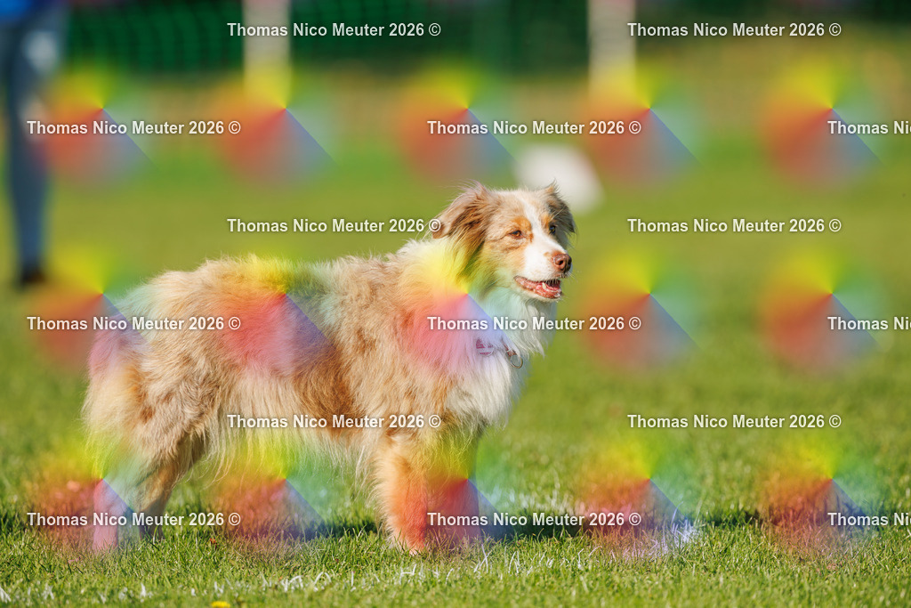Thomas_Nico_Meuter(C)_04. Oktober 2026_223A3435 | Bild von Thomas Nico Meuter - Realisiert mit Pictrs.com