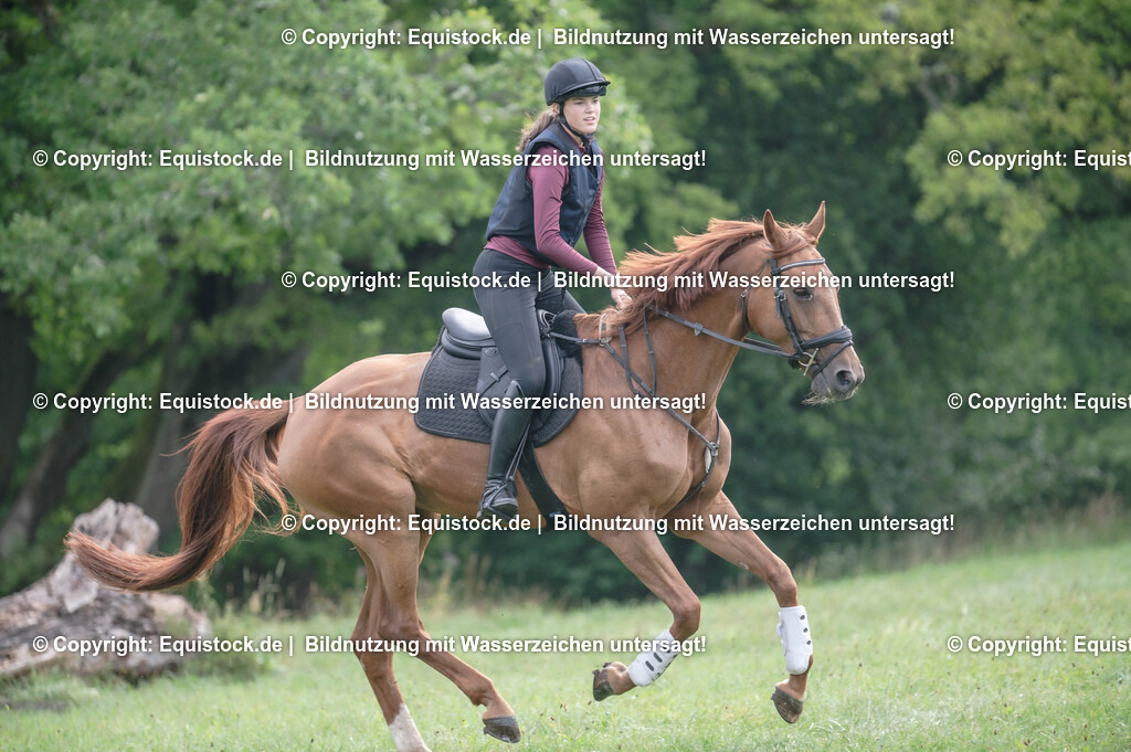 20250726_Vielseitigkeitslehrgang-Marbach_0145 | Foto: Thomas Hartig