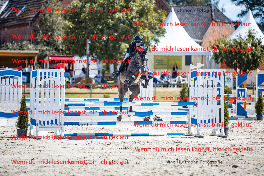 BK1A5302 | Turnierbilder Turnierfotos Nina Hüffmann Turnierfotografie Pferdefotografie Tierzeichnung Haustierzeichnung Pferdezeichnung Hundezeichnung Videograf  - Realisiert mit Pictrs.com