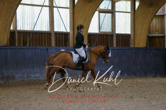 IMG_0722 | Turniersportfotografie; Pferdefotografie; Dressurfotografie