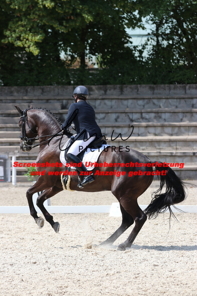 IMG_7289 | lmwpictures - Realisiert mit Pictrs.com