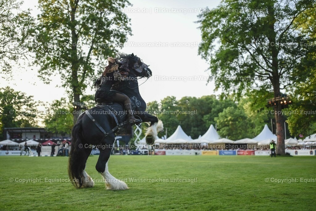 20230526_Pferdenacht_0306 | equistock