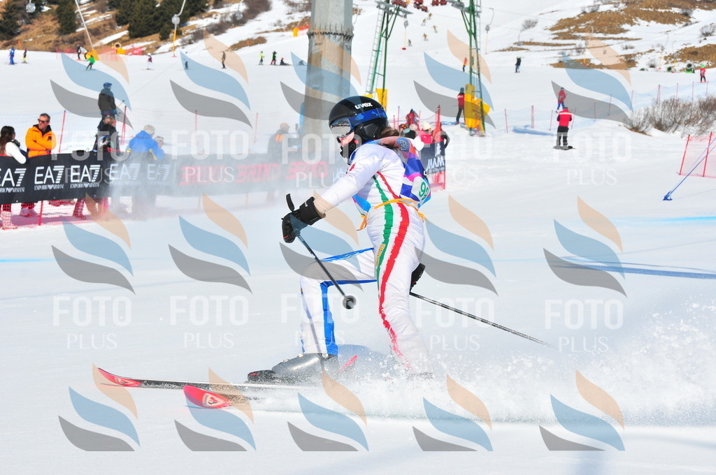 DSC_0696 | holidayphoto