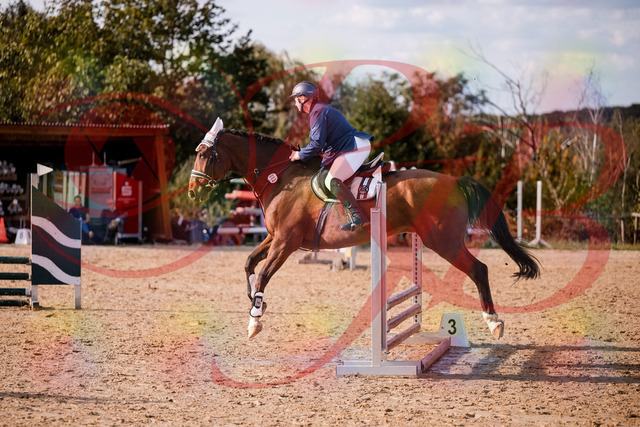 2026_10_03_Siefer-Hof_160627_Z81_88022868 | Professionelle Reitsport-, Turnier- und Eventfotografie von Robert Broda. Galerien mit ausgewählten und bearbeiteten Bildern direkt online ansehen und bestellen.