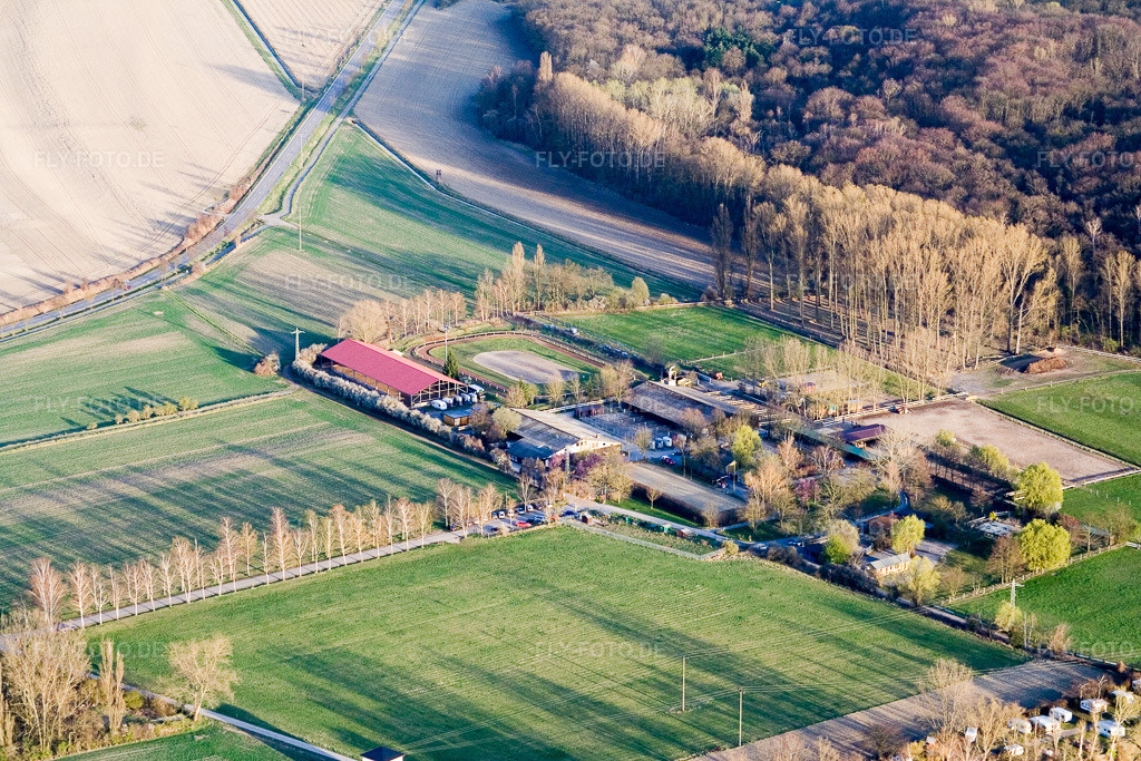Luftbild: Reitclub Altrip eV in Altrip im Bundesland Rheinland-Pfalz in Deutschland. Foto: IMG_10091.jpg vom 29.03.2008 durch Werner Riehm/FLY-FOTO.de