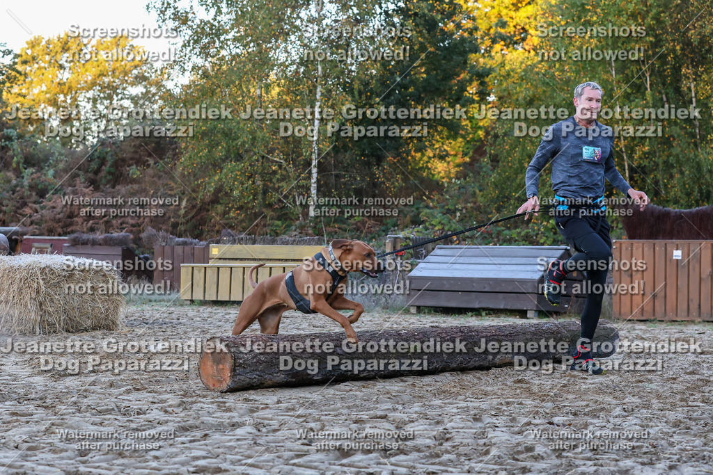 Dog Paparazzi - Strongdog 10-25-168 | Dog Paparazzi Jeanette Grottendiek Fotografie & Videografie - Realisiert mit Pictrs.com