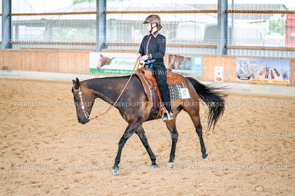 DSC02638 | Pferdegrafie