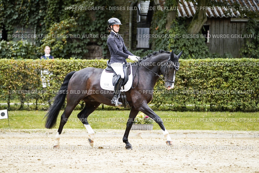 DSC09653 | Pferdegrafie