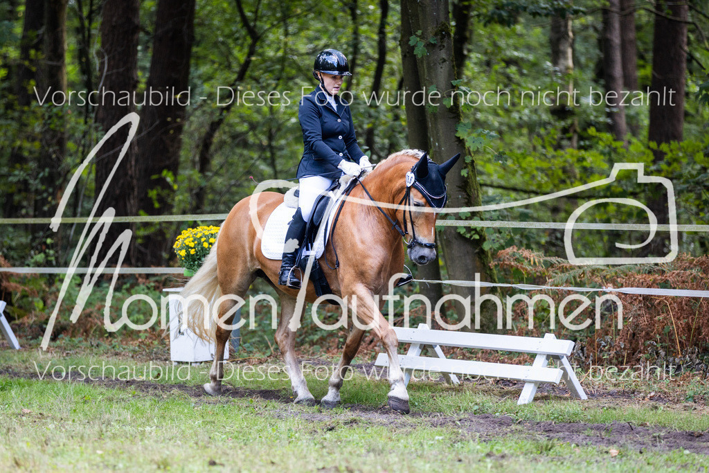 HB-Dressur-WB-057 | MomenTaufnahmen Pferdesportfotos