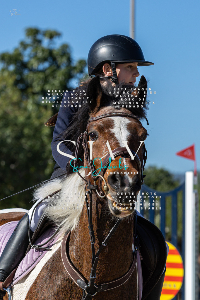 IMG_8800 | s-jay-photography - Realisiert mit Pictrs.com