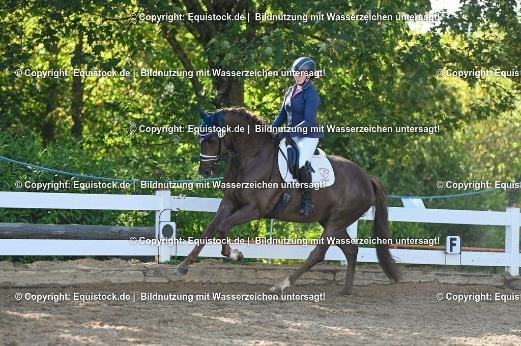 20230715_06_Dressurpferdeprfg. Kl.A_0153 | equistock