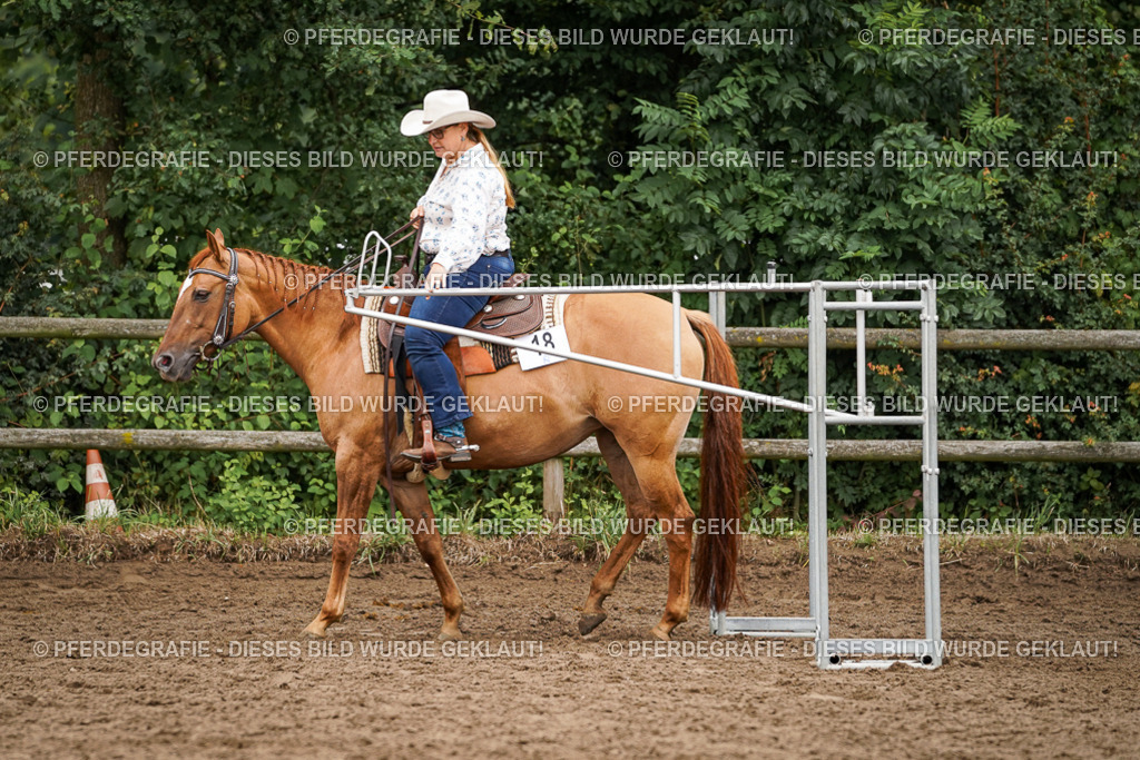 DSC03319 | Pferdegrafie